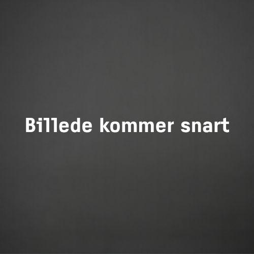 Mads Lind Bj&oslash;rnkj&aelig;r